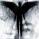 WishpeR